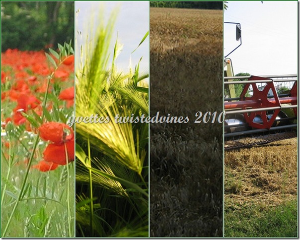 mosaic4ab1218c0508342b6670e6c687c31304657283f3