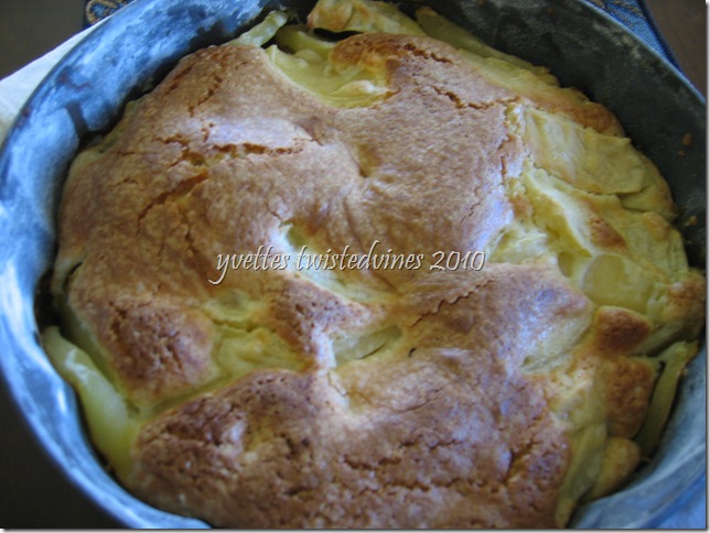 apple cake 006