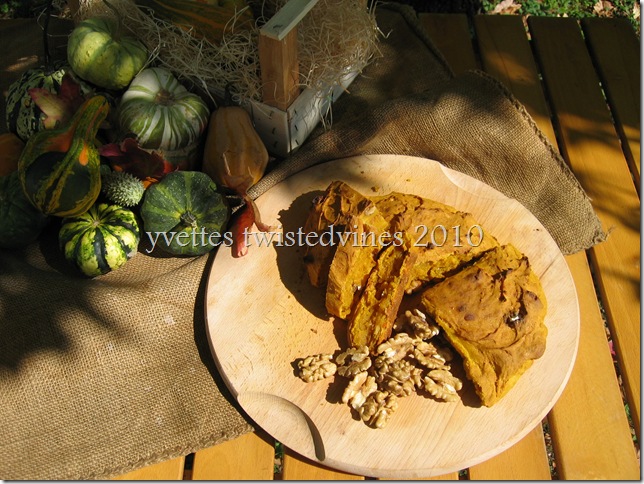pumpkin and walnut damper