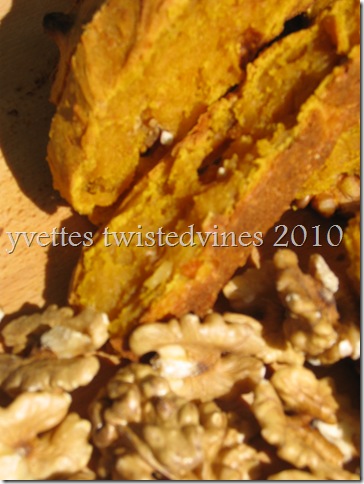 pumpkin and walnut damper