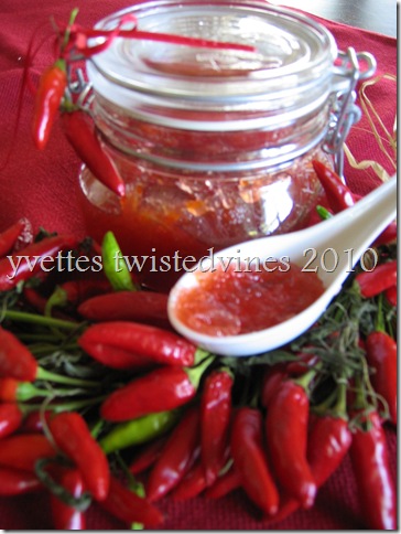 chilli 003