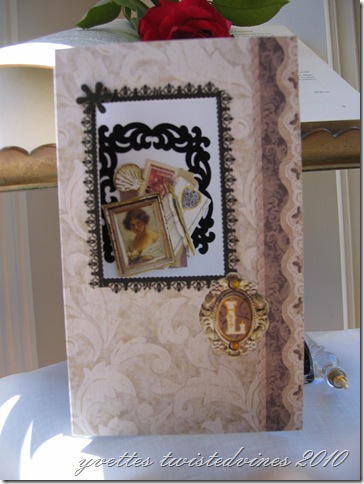 choc chip cookie 2011 047