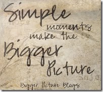 biggerpicturebutton-1