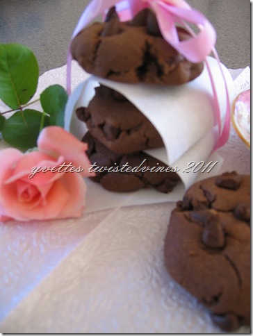 choc chip cookie 2011 039