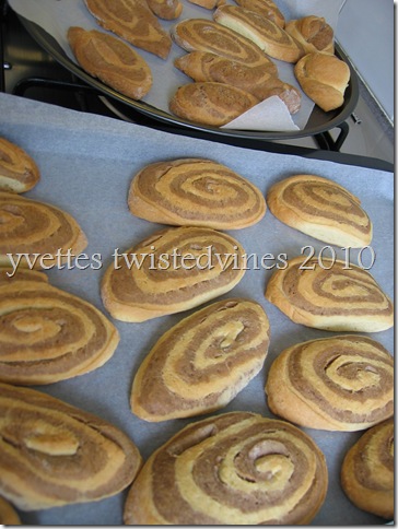 swirl bisc 002