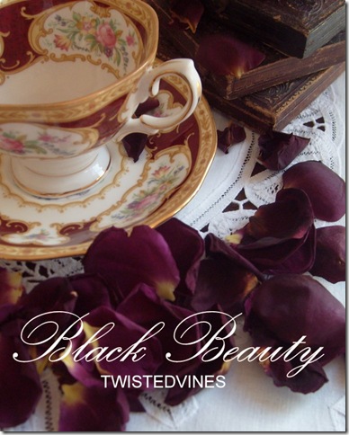 black beauty