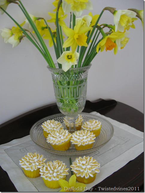 cupcake daff 001