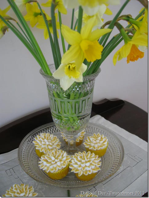 cupcake daff 002