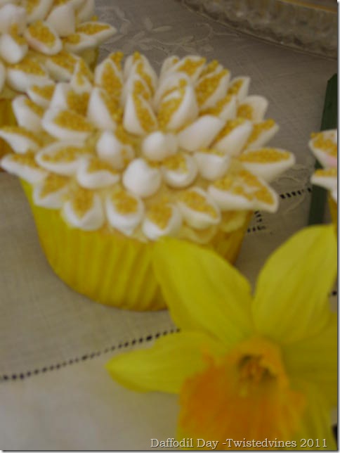 cupcake daff 008
