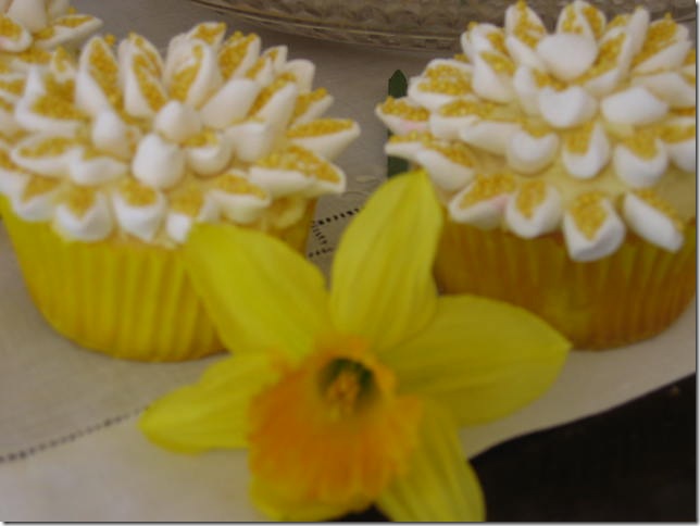 cupcake daff 011