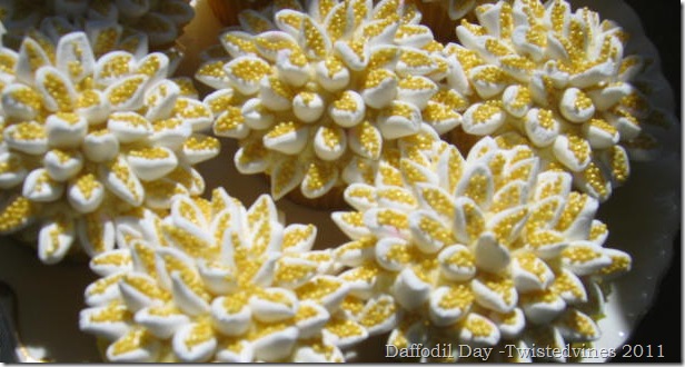 cupcake daff 015