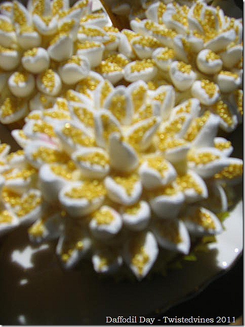cupcake daff 017