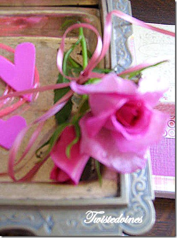 pink inspiration 007