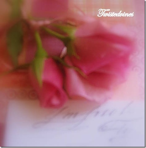 pink inspiration 014