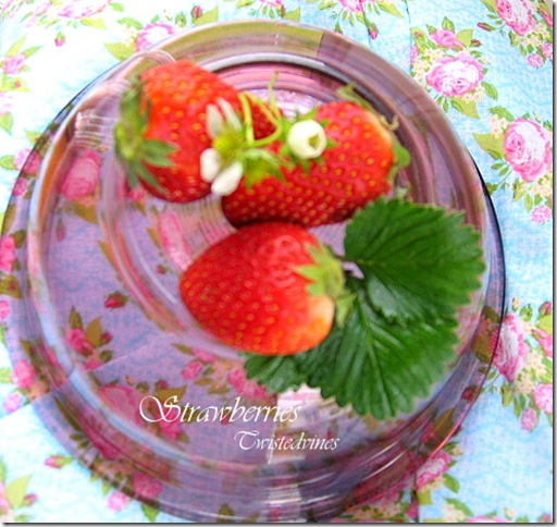 strawberries 002