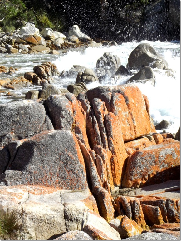 bay of fires tassie 025