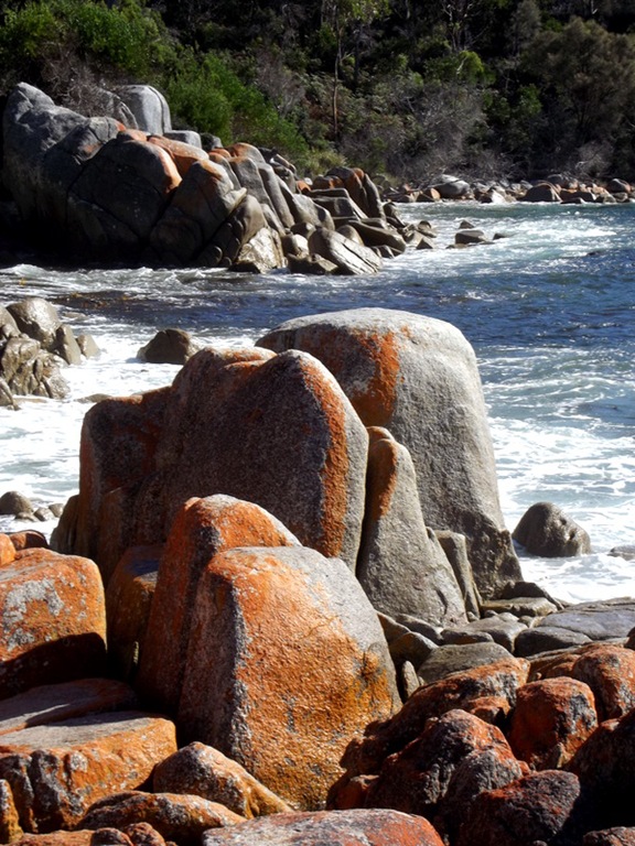 bay of fires tassie 026