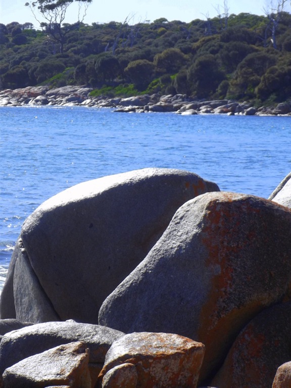 bay of fires tassie 030