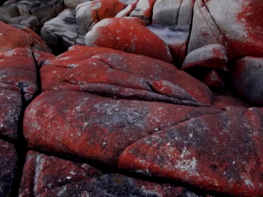 bay of fires tassie 099