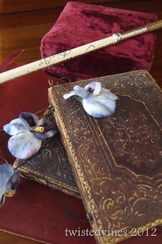 violets in march 001