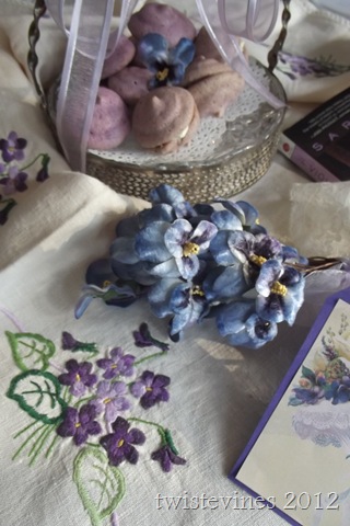 violets in march 010