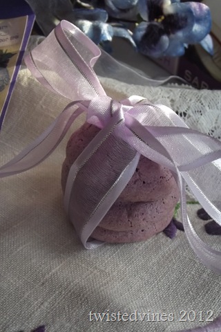 violets in march 012