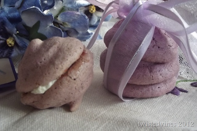 violets in march 014