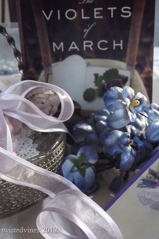 violets in march 016