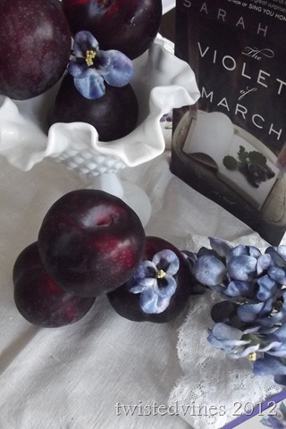 violets in march 018