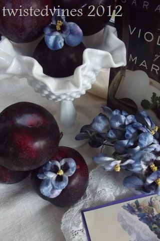 violets in march 019