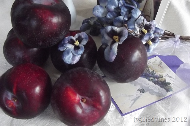 violets in march 020