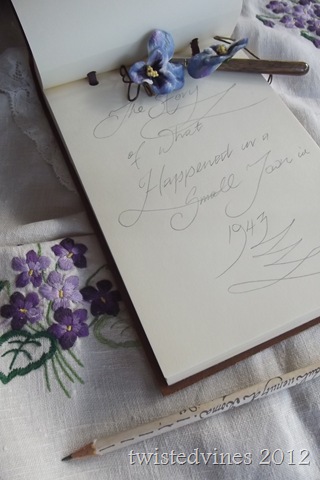 violets in march 025