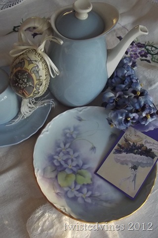 violets in march 028