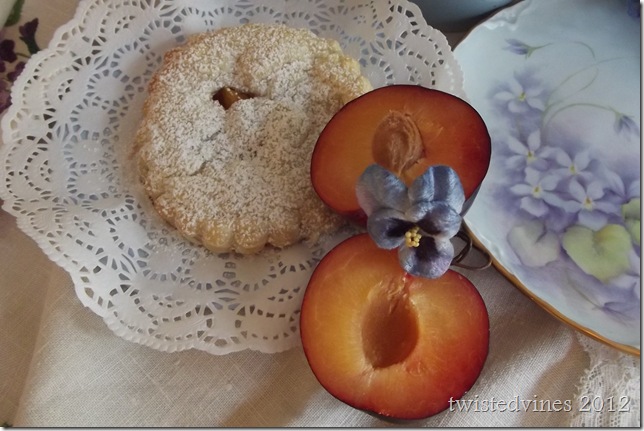 violets in march 031