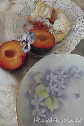 violets in march 034