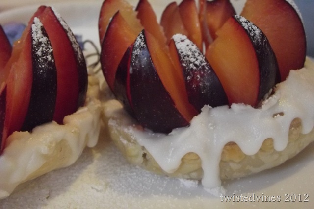 violets in march 040