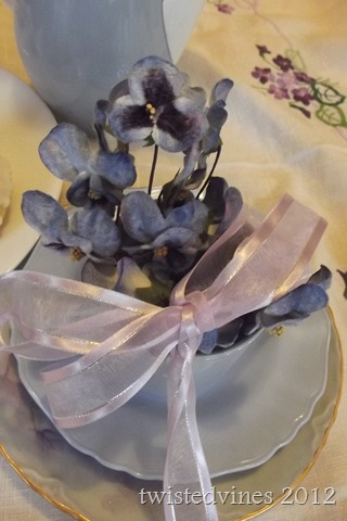 violets in march 047