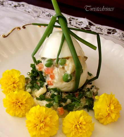 egg facita 008