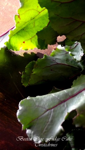 Beeted Choc Fudge Cake2